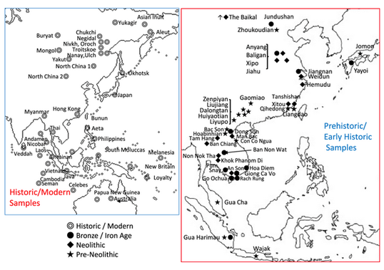 解釋東亞人類的形成，二層假說？