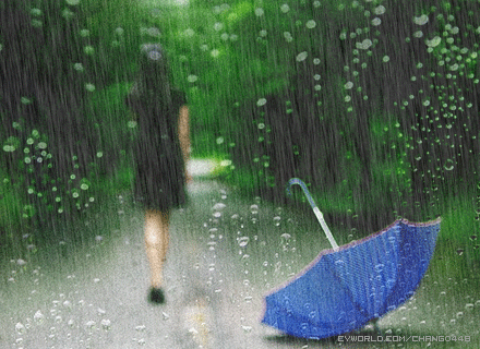 雨1
