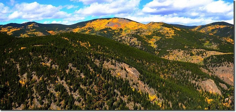 Fall colors, Mount Evans Scenic Byway, Colorado (4)