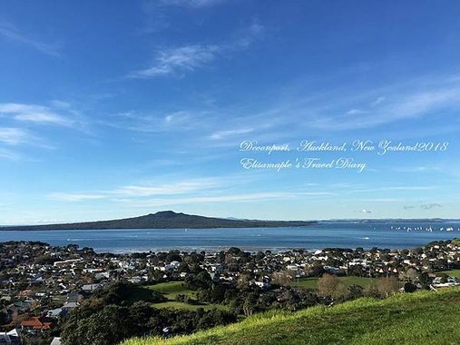 NZ20180008.JPG