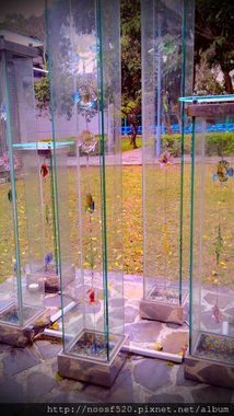 IMG_20140208_103123.jpg