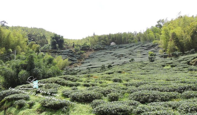 沿途風景