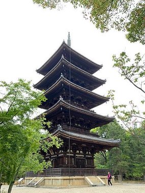 ［京都自駕遊］京都寺廟走斷腿之旅