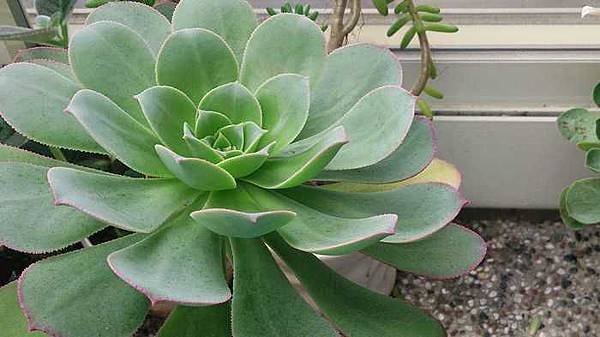 nEO_IMG_DSC_1092.jpg
