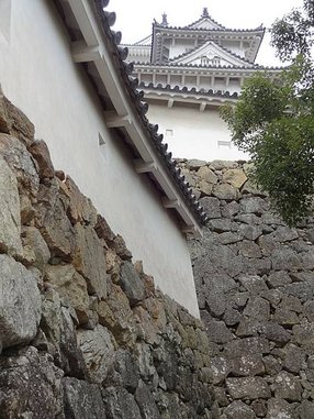 p145580801014.jpg