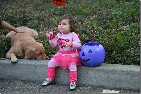 Halloween 875