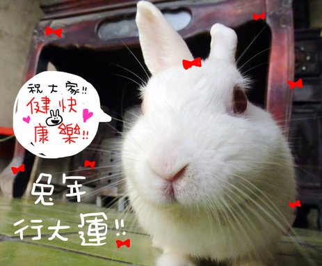DSCF9678.jpg