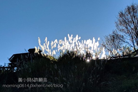 黃小貝＆旅遊手札  南投景點❖清境農場 ✕ 青青草原 ✕ 清境高空觀景步道