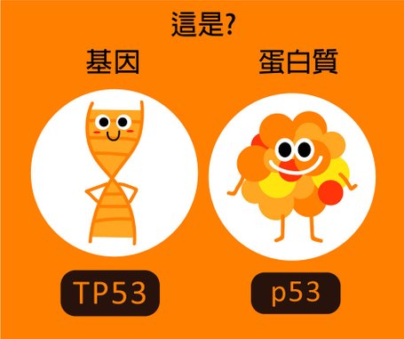 15-TP53和P53的不同.jpg