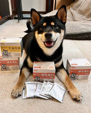 LINE_ALBUM_毛孩時代_220419_3.jpg