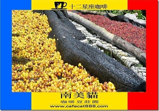 簡報12