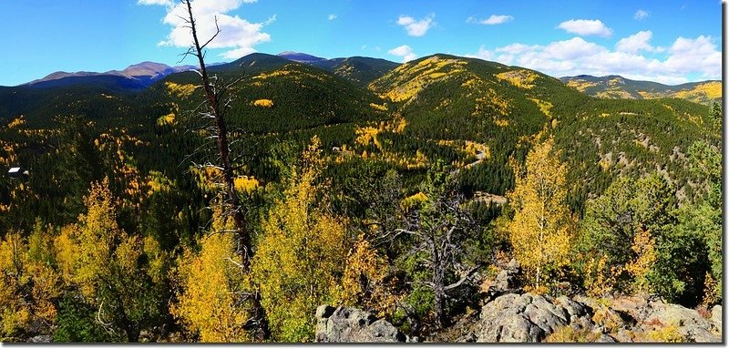 Fall colors, Mount Evans Scenic Byway, Colorado (3)