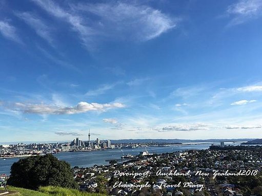 NZ20180010.JPG