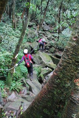 2016-03-21  新北竹山古道   028.JPG