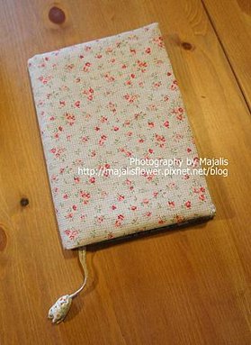 DSC09099
