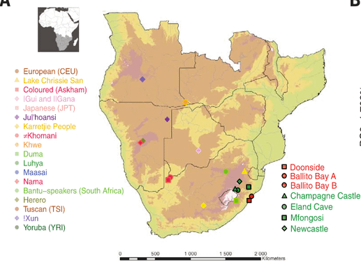 南非古代基因組－桑族人有外來混血，現代人分家至少26萬年？