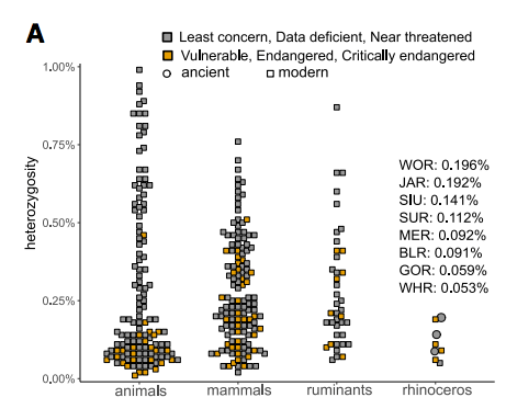 犀牛遺傳史，DNA多樣性常態很低？