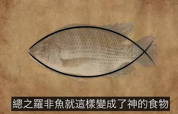 吳郭魚/天道盟天鷹會與不倒會黑道份子以一斤42元的進貨價向南