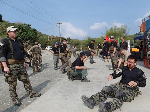 AOR Pink台灣軍武娘6.jpg