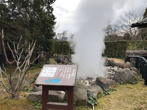 S__10756206.jpg
