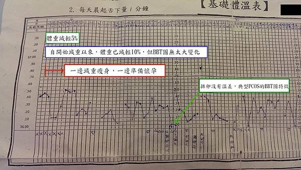 004H小姐的BBT圖.jpg