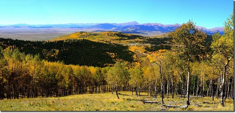 Fall colors, Kenosha Pass  (49)