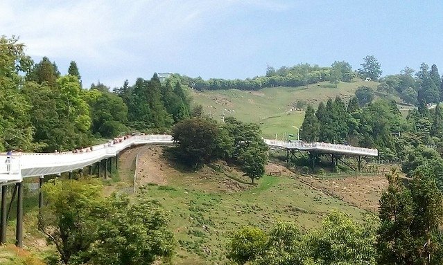 清境農場天空步道 (5)