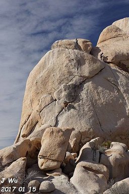 20170115 Joshua Tree with Joel and Diesel (35).JPG