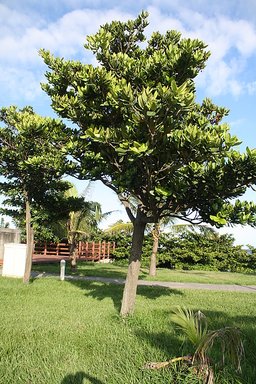20100802 118.jpg