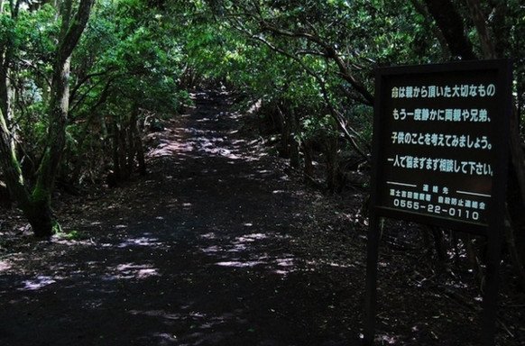 日本富士山下的自殺聖地 {青木原樹海}