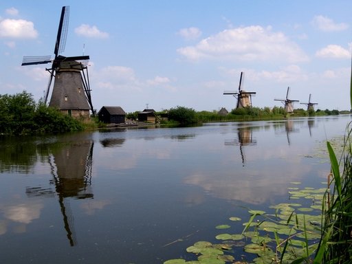 R0015625.JPG