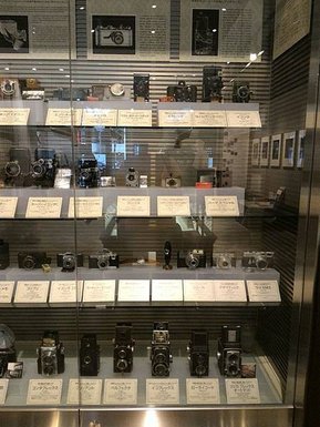 p152749436672.jpg