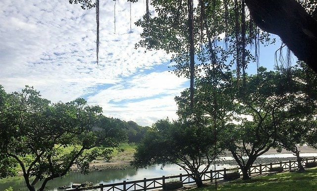 花蓮翰品晨跑 (4)
