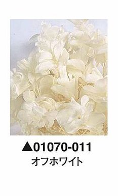 大地農園01070-011_繡球花哪裡買_繡球花介紹_永生花專賣_永生花推薦_愛意花坊-2022.jpg