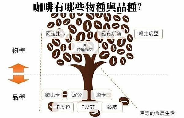 全世界每天大概喝掉20億杯的咖啡，平均2人喝一杯/臺灣202