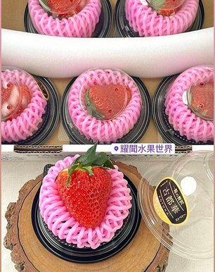 夢幻頂級白草莓、淡粉紅草莓 你吃過了嗎