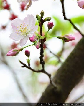 DSC_9578.jpg