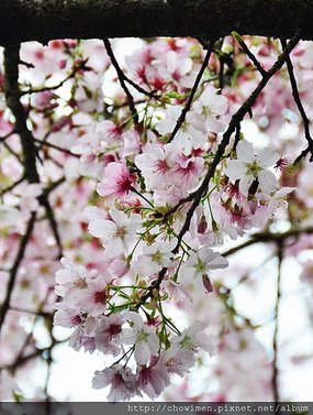 DSC_9343.jpg