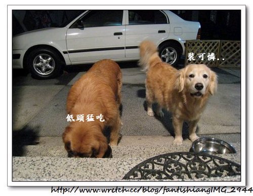 下一張(熱鍵:c)