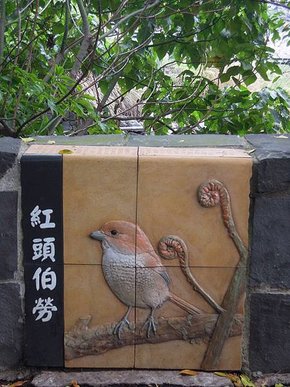 DSCN1554.jpg