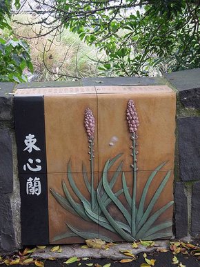 DSCN1555.jpg