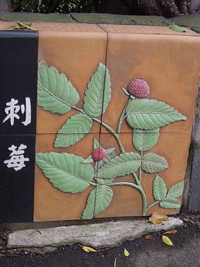 DSCN1557.jpg