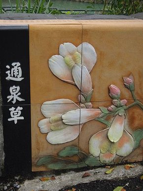 DSCN1560.jpg