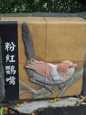 DSCN1556.jpg