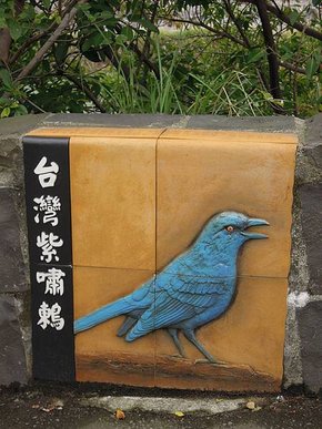 DSCN1563.jpg