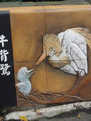 DSCN1558.jpg