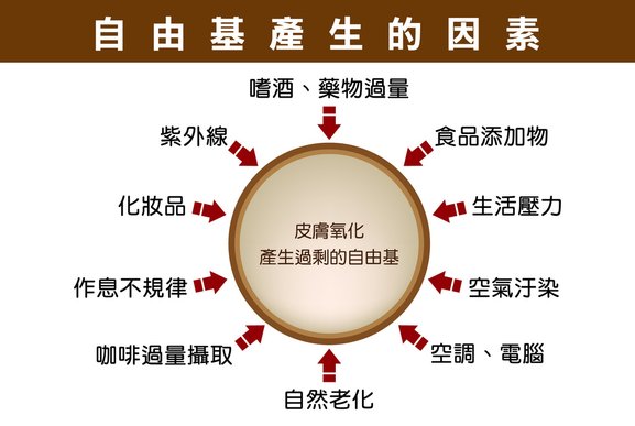 自由基產生的因素-01