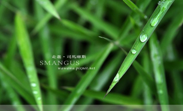 DSC_9050拷貝.jpg