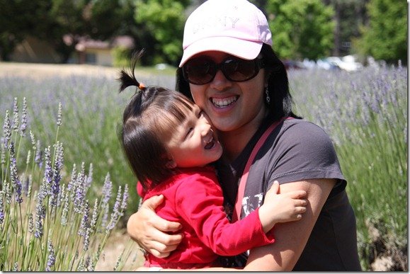 Lavender Festival 231