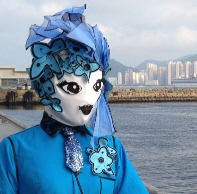 龍小菌